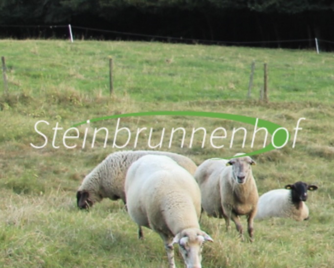 Steinbrunnenhof