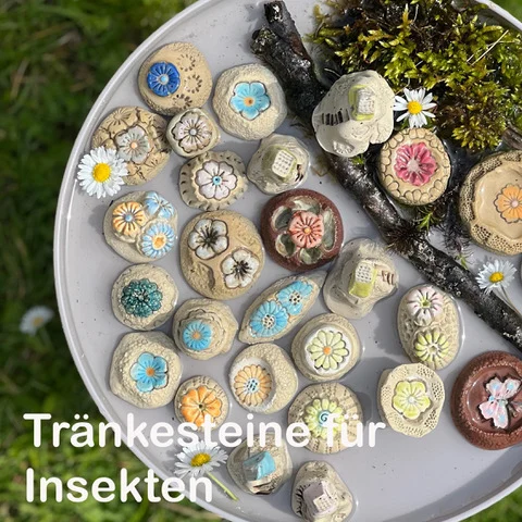 Tränkesteine für Insekten von Zauberwiese